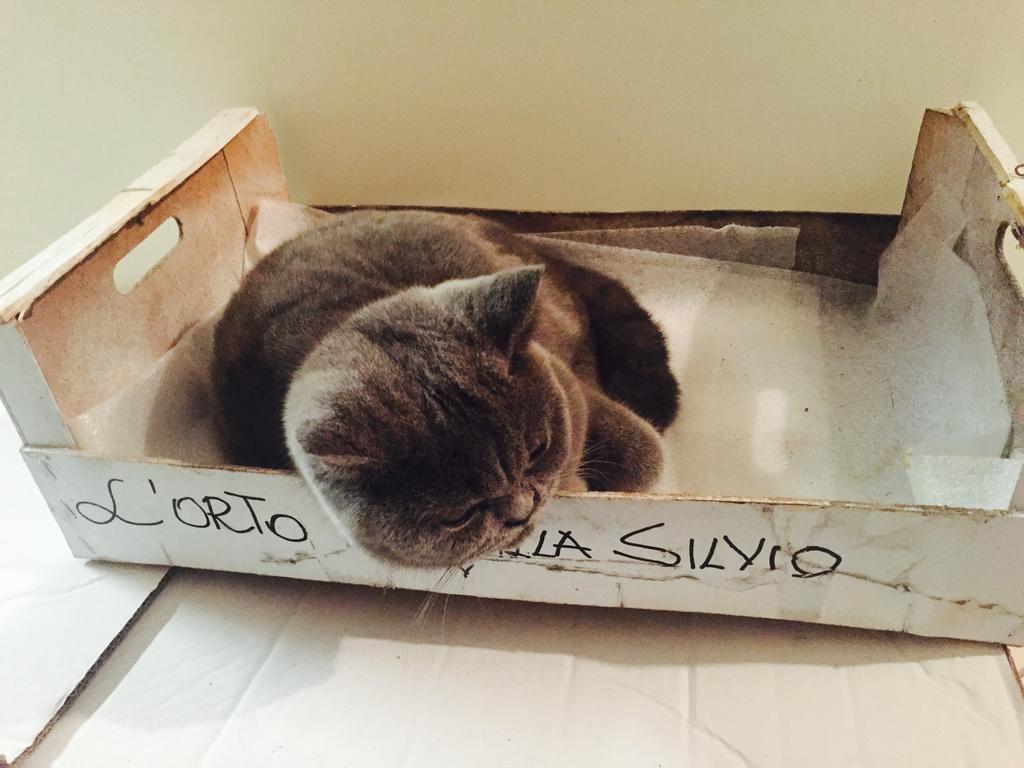 Villa Silvio Civitanova Alta Cameră foto
