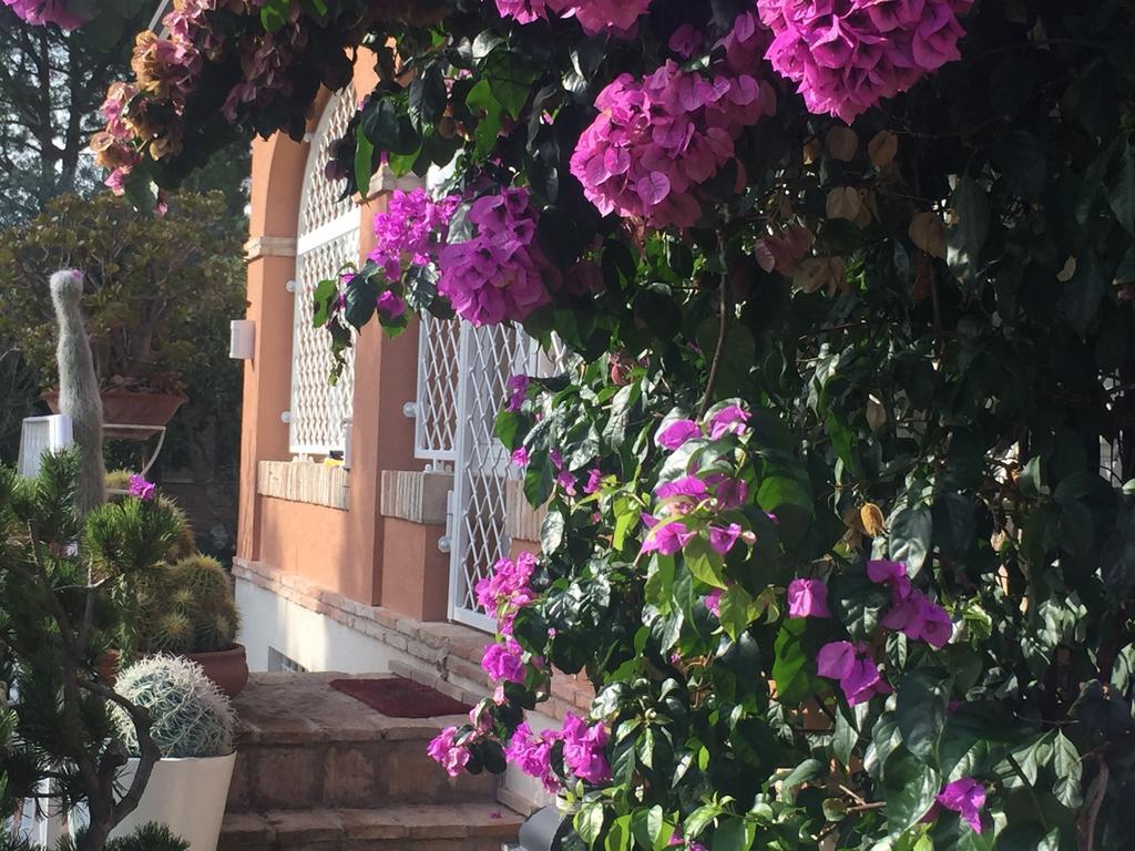 Villa Silvio Civitanova Alta Cameră foto